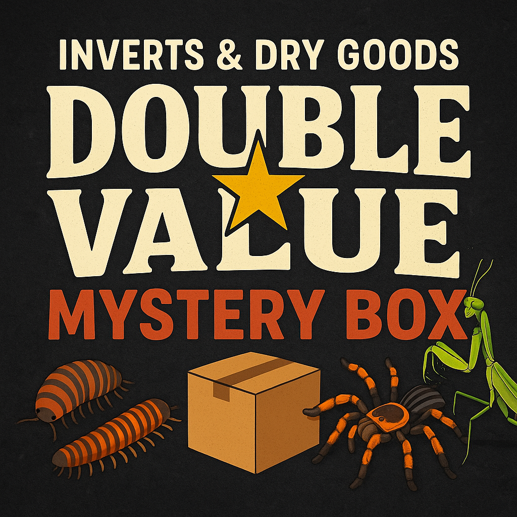 Inverts & Dry Goods Double Value Mystery Box