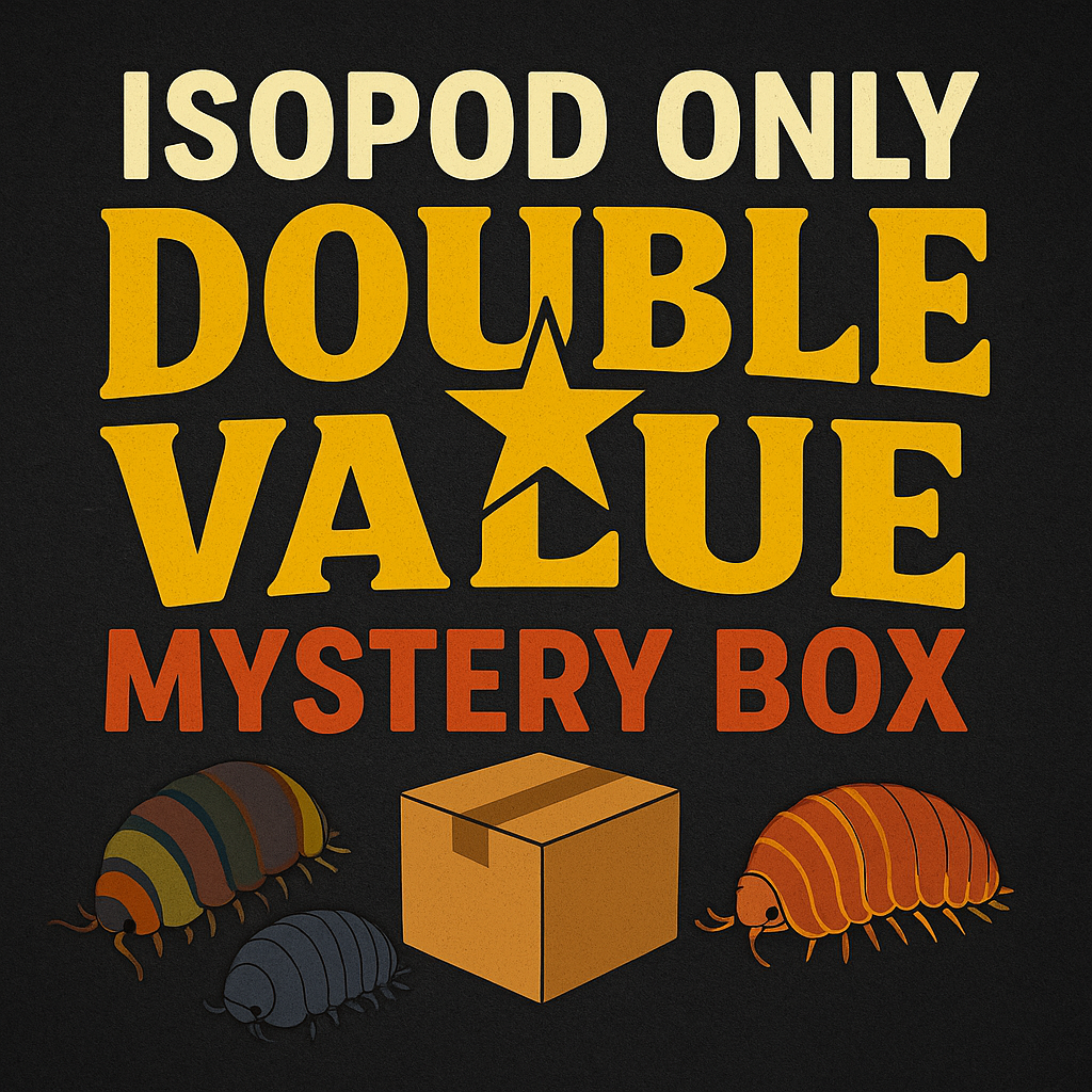 Isopod Only Double Value Mystery Box