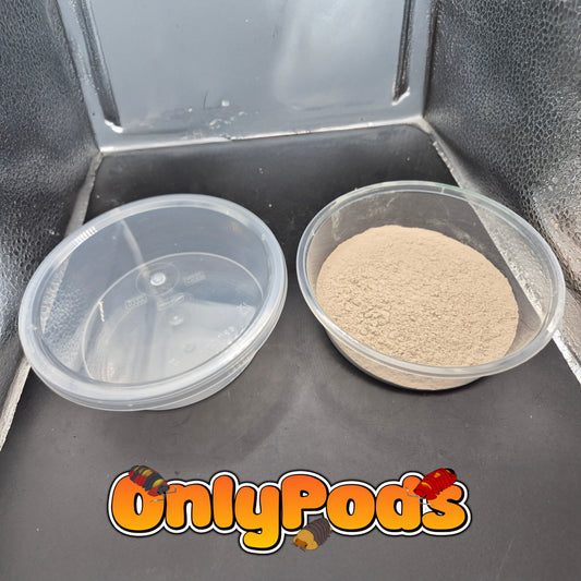Springtail Culture Kit Clay