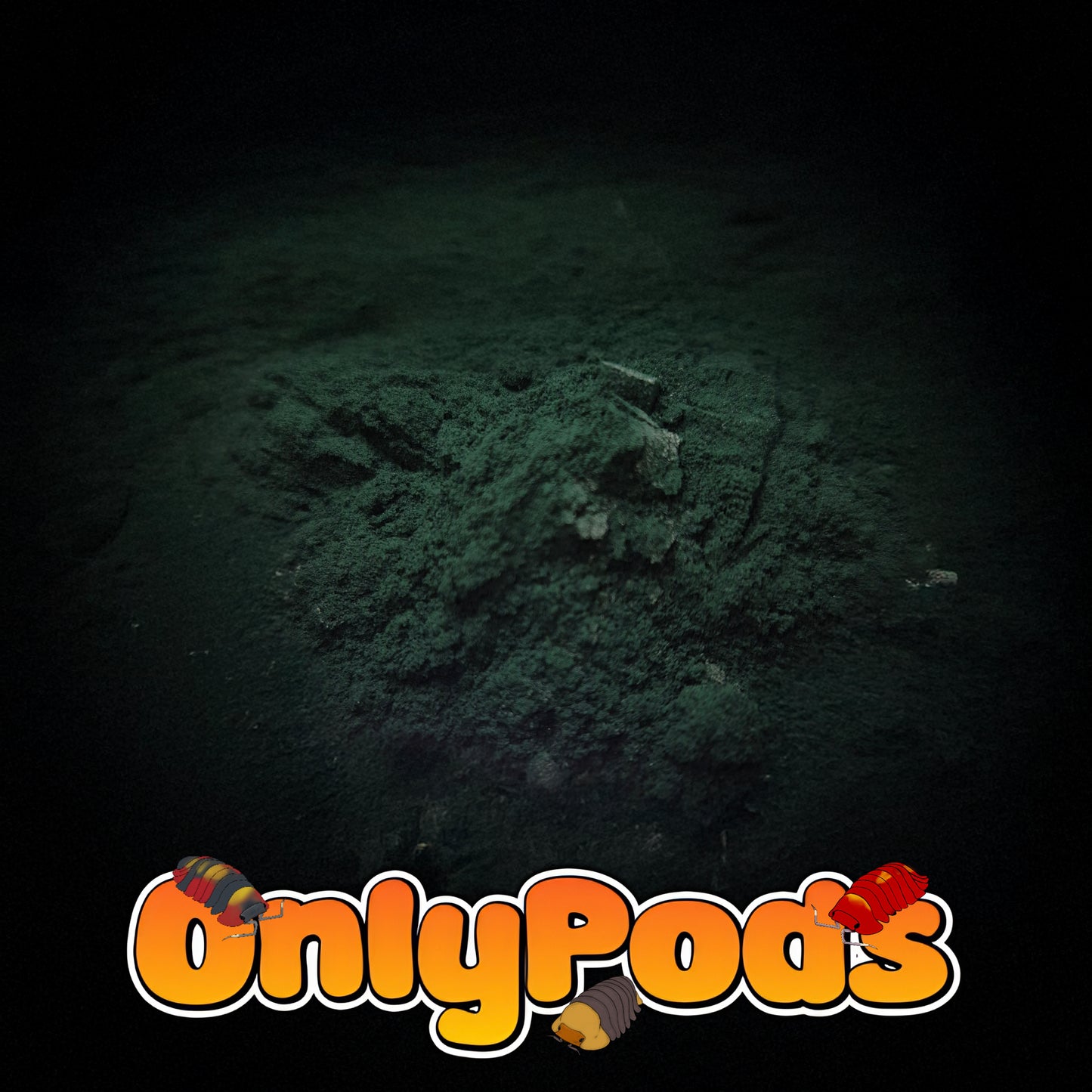 Spirulina powder