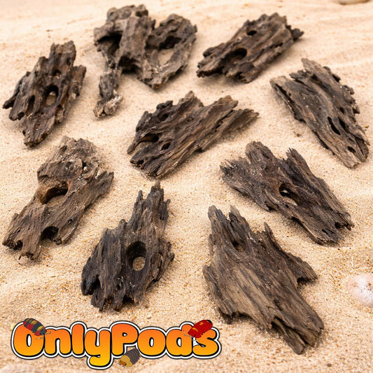 Coral Driftwood Dry Goods for sale UK - OnlyPods