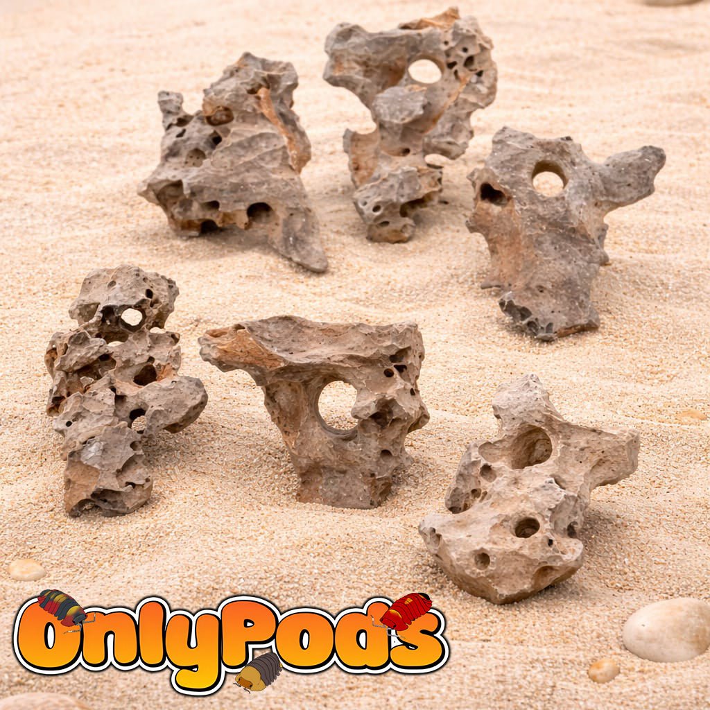 Coral Effect Rock Dry Goods for sale UK - OnlyPods