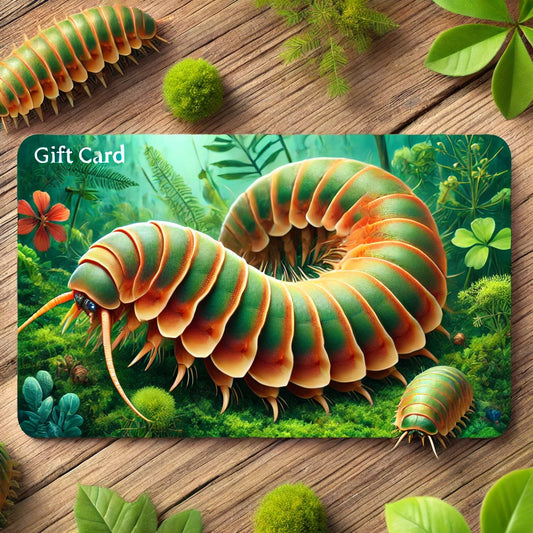 OnlyPods Gift Card
