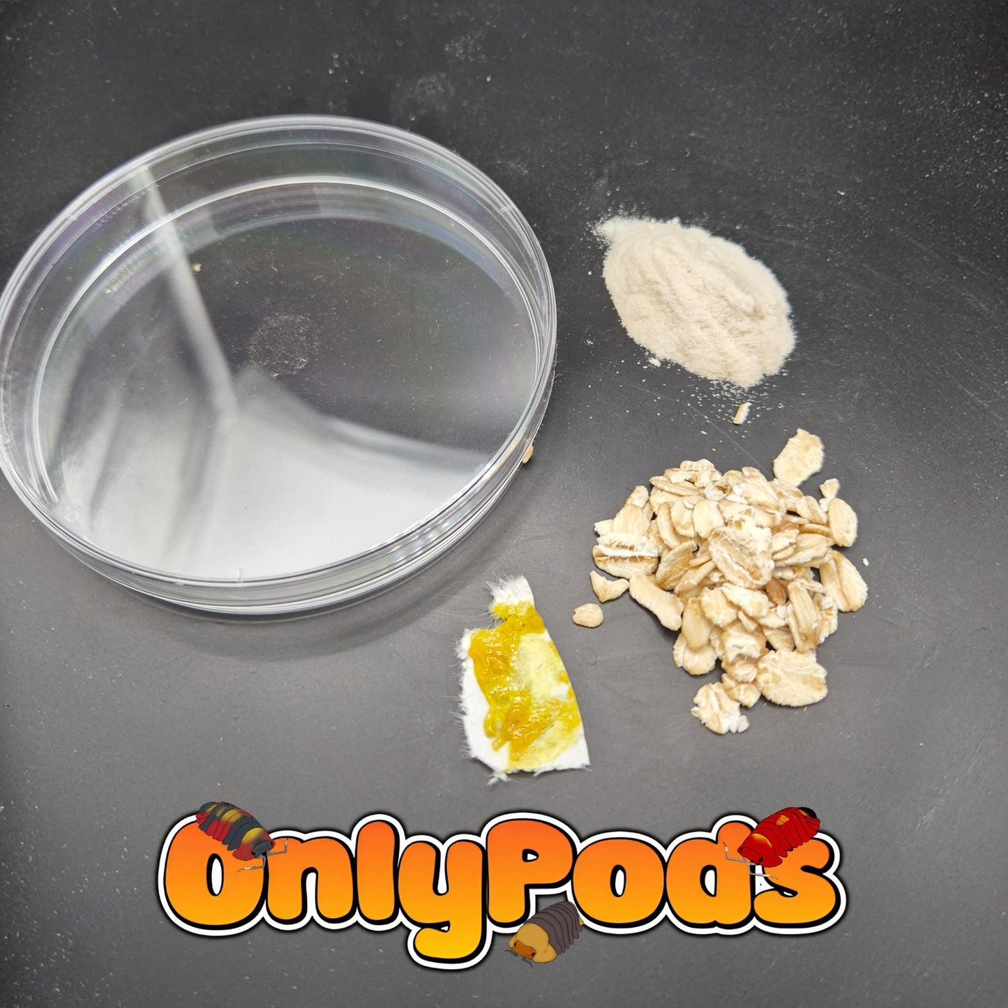 Slime mold Kit Dry Goods for sale UK - OnlyPods