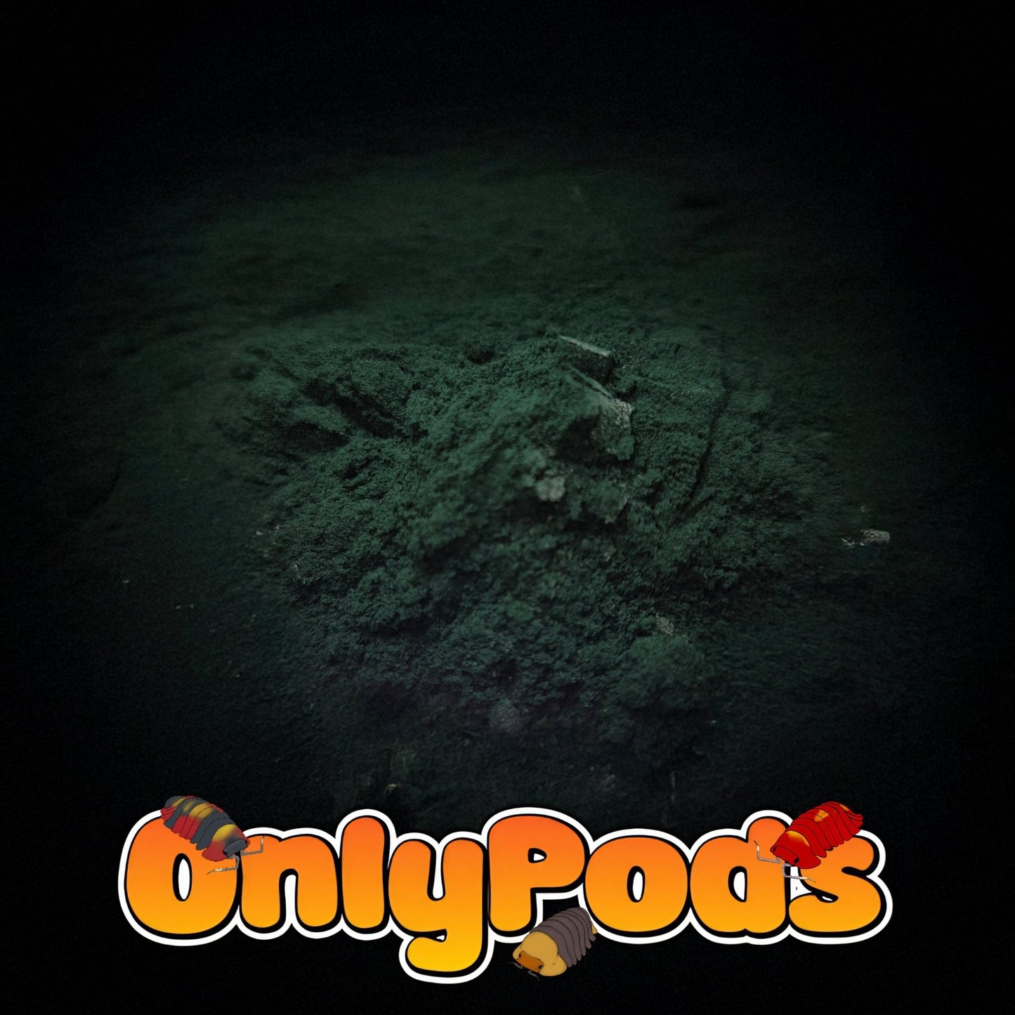 Spirulina powder Dry Goods for sale UK - OnlyPods