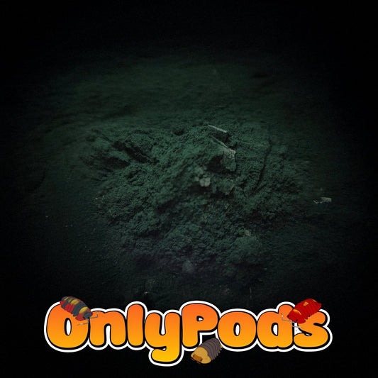 Spirulina powder Dry Goods for sale UK - OnlyPods